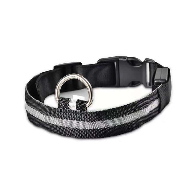 New LED Dog Collar with reflective design for visibility and safety during walks.