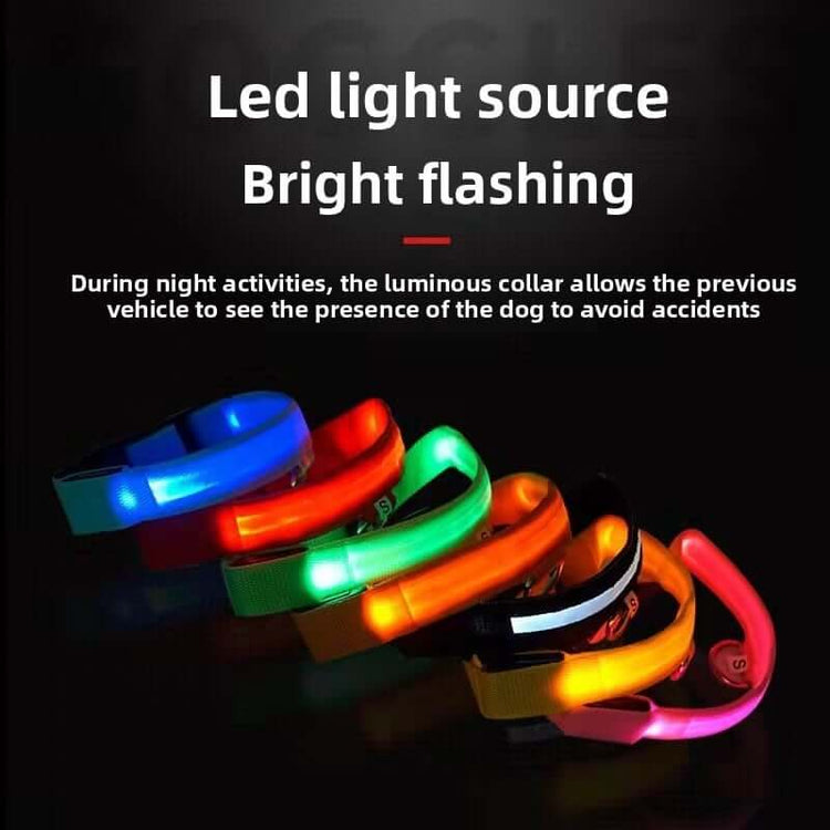 New LED Dog Collar in various colors, showcasing bright flashing lights for visibility during night activities.