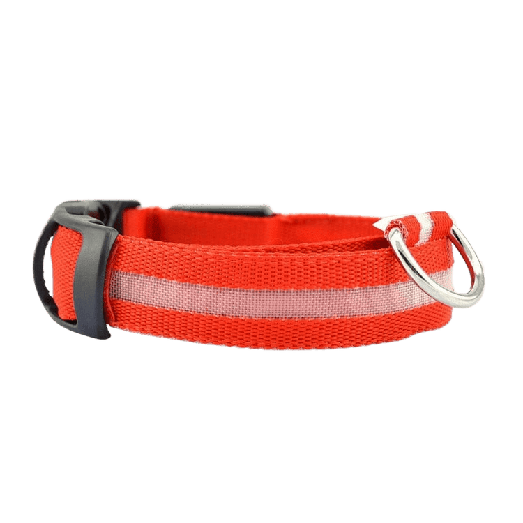 New LED Dog Collar in bright red with reflective strip for increased visibility at night.