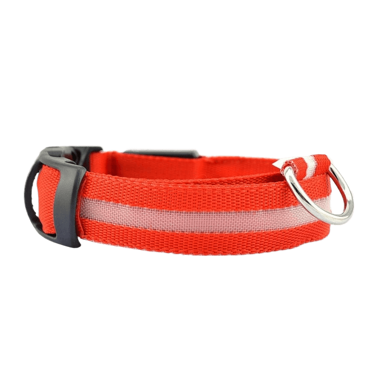 New LED Dog Collar in bright red color with reflective strip for better visibility.