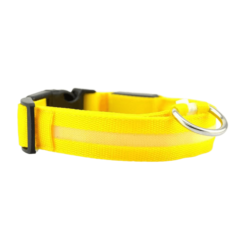 New LED Dog Collar in bright yellow with reflective strip for safety and visibility during walks.
