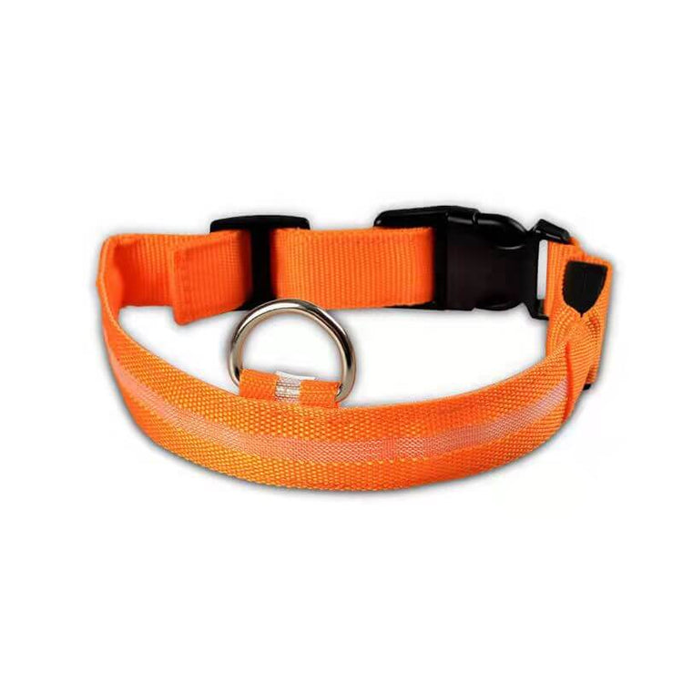 New LED Dog Collar in bright orange, featuring a reflective strip for visibility and safety during night walks.