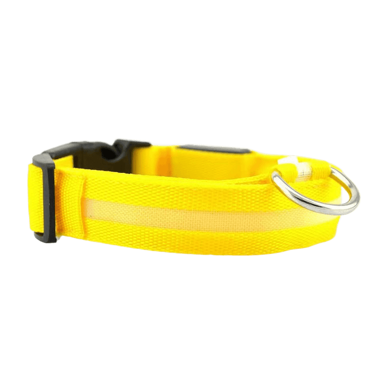 New LED Dog Collar in bright yellow with reflective strip and sturdy D-ring for leash attachment.