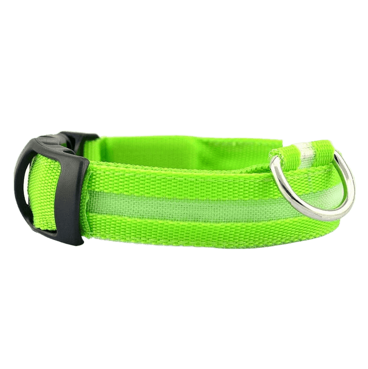New LED Dog Collar in bright green color with reflective stripes and sturdy buckle.